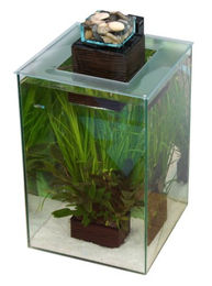 Fluval Chi Abdeckung für Fischaquarien aus transparentem Kunststoff - 1 Stk. – Bild 1 von 3