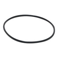 Produktbild von Fluval Dichtungsring aus Gummi für Außenfilter 104, 204, 105, 205, 106 und 206 in Schwarz