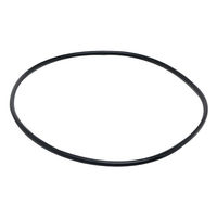 Produktbild von Fluval Dichtungsring aus Gummi für Fisch Außenfilter 304 305 306 404 405 406c Schwarz - 1 Stk.