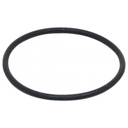 Produktbild von Fluval Dichtungsring aus Gummi für FX4 Fisch Außenfilter in Schwarz