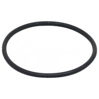 Produktbild von Fluval Dichtungsring aus Gummi für FX4 Fisch Außenfilter in Schwarz
