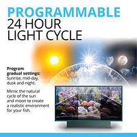 Produktbild von Fluval Flex Süßwasser Aquarium 123 Liter Schwarz - 123 l