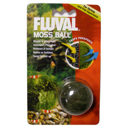 Fluval Moos Ball lebende Pflanze zur Algenbekämpfung für Süßwasser Aquarien - 1 Stk. – Bild 1 von 2