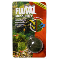 Produktbild von Fluval Moos Ball lebende Pflanze zur Algenbekämpfung für Süßwasser Aquarien - 1 Stk.