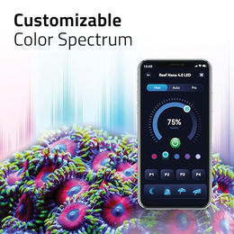 Fluval Nano Reef 4.0 LED Aufsetzleuchte Schwarz 25W – Bild 1 von 6