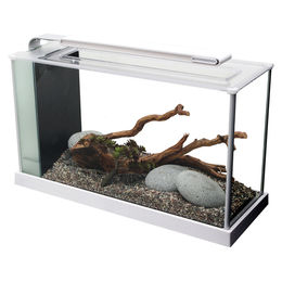 Produktbild von Fluval Spec III LED-Leiste für Aquarien Weiß 19 Liter
