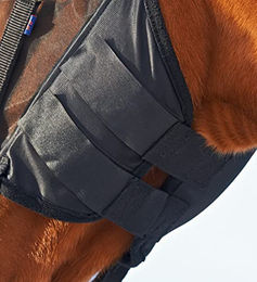 Fly Protector Fliegenmaske für Shetty in Schwarz – Bild 1 von 4