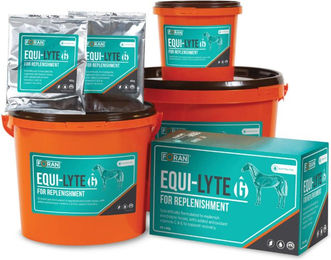 Foran Equi-Lyte G Elektrolyte für Pferde mit Vitamin C und E 4 kg – Bild 1 von 1