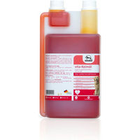 Produktbild von Fortan vita-Keimöl Haut und Fell Supplement für Hunde vegan 1000 ml - 1 l
