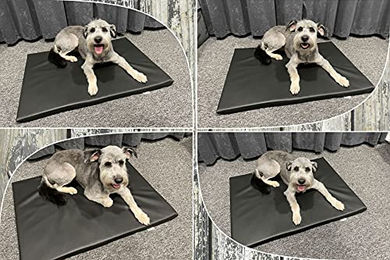 Produktbild von FORTISLINE Hundematte aus Kunstleder Kirschrot 80x60 cm Waschbares Hundebett für kleine und mittelgroße Hunde