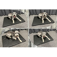 Produktbild von FORTISLINE Hundematte aus Kunstleder Kirschrot 80x60 cm Waschbares Hundebett für kleine und mittelgroße Hunde