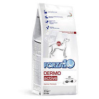 Produktbild von Forza 10 Active Line Dermo Hund Diätfutter Trockenfutter für Adult mit Haut und Fell sowie Magen-Darm 10 kg - 10 kg