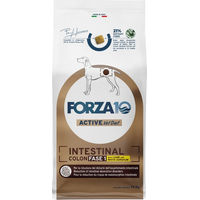 Produktbild von Forza 10 Intestinal Colon Phase 1 Hundediät mit Lamm für Adult 10 kg - 10 kg