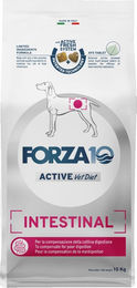 Forza10 Active Line Intestinal Trockenfutter für Hunde Adult Magen-Darm Diät 10 kg - 10 kg – Bild 1 von 6