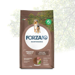 Forza10 Hund Maintenance Medium Adult Lamm und Reis glutenfrei 12 kg – Bild 1 von 2