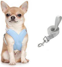 FOUORTUNATE-BEE Hundegeschirr Set mit verstellbarer Leine aus Polyester in Blau für erwachsene Hunde – Bild 1 von 5