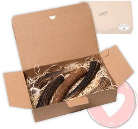 FOURLEGS Natürlicher Kauspaß für Hunde aus 100% Hirschgeweih Größe L Sparpaket 5 Stück – Bild 1 von 1