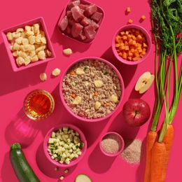 Fred & Felia FRED Hund Nassfutter Schwein mit Spätzle Monoprotein Getreidefrei 10x390g Tetra Pak - 10 x 390 g – Bild 1 von 5