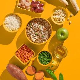 Fred & Felia FRED Hundefutter Huhn mit Reis Monoprotein Nassfutter Adult 10 x 190 g - 10 x 190 g – Bild 1 von 5