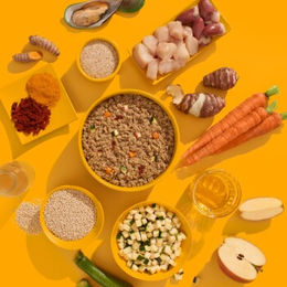 Fred & Felia Hundefutter Senior Huhn Stückchen in Sauce 10x390g - 10 x 390 g – Bild 1 von 2