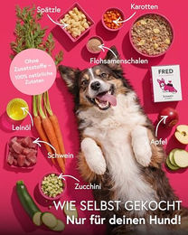 FRED Hund Nassfutter Schwein Monoprotein Getreidefrei Sensitive 190g Tetra Pak - 10 x 190 g – Bild 1 von 5