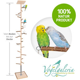 Freifug XXL Zimmerhoher Kletterbaum Vogelspielplatz aus Naturholz für Wellensittiche und Papageien – Bild 1 von 3