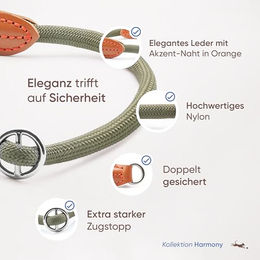 Freudentier Erziehungshalsband mit Zugstopp aus Nylon für Hunde Grüne Farbe Größe M - 1 Stk. – Bild 1 von 3