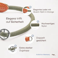 Produktbild von Freudentier Erziehungshalsband mit Zugstopp aus Nylon für Hunde Grüne Farbe Größe M - 1 Stk.