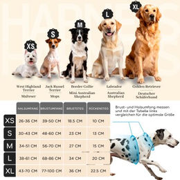 Freudentier Hundegeschirr Clyde atmungsaktiv und gepolstert mit Griff Größe L – Bild 1 von 7