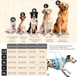 FREUDENTIER Hundegeschirr Lets get Foxy Kollektion mit Griff und atmungsaktiver Polsterung aus Nylon in XL - 1 Stk. – Bild 1 von 6