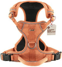Freudentier Hundegeschirr mit Mesh-Polsterung in Orange Größe XL – Bild 1 von 3
