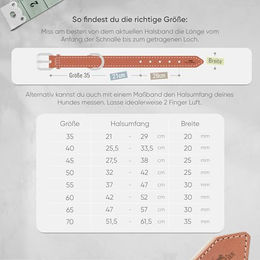 FREUDENTIER Hundehalsband Amstelpark aus gefüttertem Vollnarbenleder Cognac 21-29cm Halsumfang – Bild 1 von 2