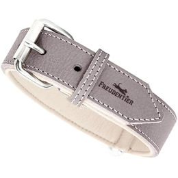 FREUDENTIER Hundehalsband Amstelpark aus Leder gefüttert Graubraun 37-47cm Halsumfang – Bild 1 von 6