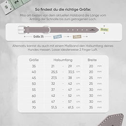 FREUDENTIER Hundehalsband Amstelpark aus Leder gefüttert Graubraun 42-52cm Halsumfang – Bild 1 von 6