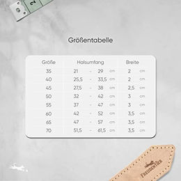 FREUDENTIER Hundehalsband Amstelpark aus Vollnarbenleder gefüttert Beige 37-47cm Halsumfang - 1 Stk. – Bild 1 von 2