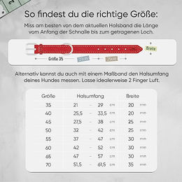 FREUDENTIER Hundehalsband Amstelpark Kollektion aus Vollnarbenleder gefüttert Rot 51.5-61.5cm – Bild 1 von 5