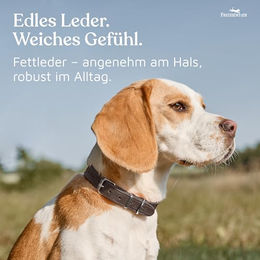 FREUDENTIER Hundehalsband aus Leder Alsterufer Kollektion Braun 47,5-59cm – Bild 1 von 4