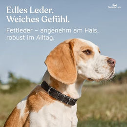 FREUDENTIER Hundehalsband aus Leder Alsterufer Kollektion für kleine bis mittelgroße Hunde Midnight 25,5-31cm – Bild 1 von 5