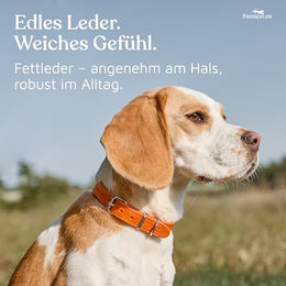 FREUDENTIER Hundehalsband aus Leder Alsterufer Kollektion Sunset Orange 47,5-59cm – Bild 1 von 4