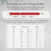 Produktbild von FREUDENTIER Hundehalsband aus Leder Amstelpark Kollektion gefüttert Rot 27.5-38cm Halsumfang