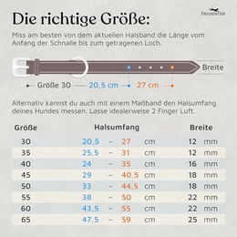 FREUDENTIER Hundehalsband aus Leder für kleine und mittelgroße Hunde Sunset Orange 33-44,5cm – Bild 1 von 4