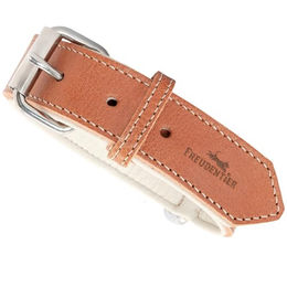 Freudentier Hundehalsband aus Leder weich gepolstert 21/29 cm – Bild 1 von 3