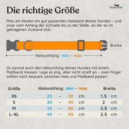 Freudentier Hundehalsband aus Nylon für große Hunde, wasserabweisend, Schwarz, 40-65cm – Bild 1 von 5
