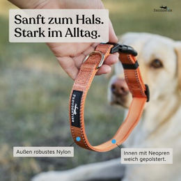 Freudentier Hundehalsband aus Nylon in Orange, wasserabweisend und reflektierend, Größe S – Bild 1 von 5