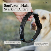 Produktbild von Freudentier Hundehalsband aus Nylon Schwarz XS wasserabweisend für kleine Hunde