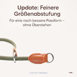 Freudentier Hundehalsband mit Zugstopp aus Nylon für erwachsene Hunde XL wasserabweisend – Bild 1 von 3