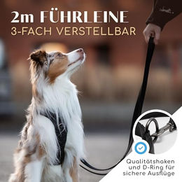 Freudentier Hundeleine aus Nylon für mittelgroße und große Hunde, 2m, Schwarz, gepolstert und wasserabweisend - 2 m – Bild 1 von 6