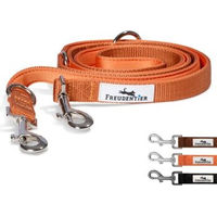 Produktbild von Freudentier Hundeleine aus Nylon für mittelgroße und große Hunde, gepolstert und wasserabweisend, Orange, 2m - 2 m