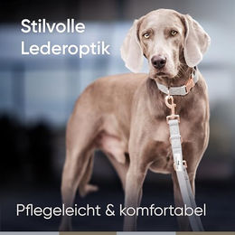 Freudentier Hundeleine aus veganem Leder Hyde Park Kollektion 2.0 3-fach verstellbar - 2 m – Bild 1 von 9