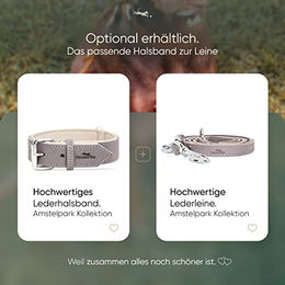 FREUDENTIER Hundeleine aus zertifiziertem Leder Amstelpark Kollektion Graubraun 2m 20mm breit - 2 m – Bild 1 von 2